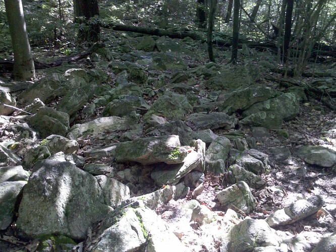 2010-07-15 09.24.36